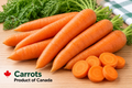 Carrots -Product of Canada 4.54 Kg/ 10 lb