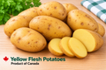Yellow Flesh Potatoes-Product of Canada 4.54 Kg/ 10 lb