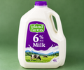 Island Farms 6% Milk : 4L