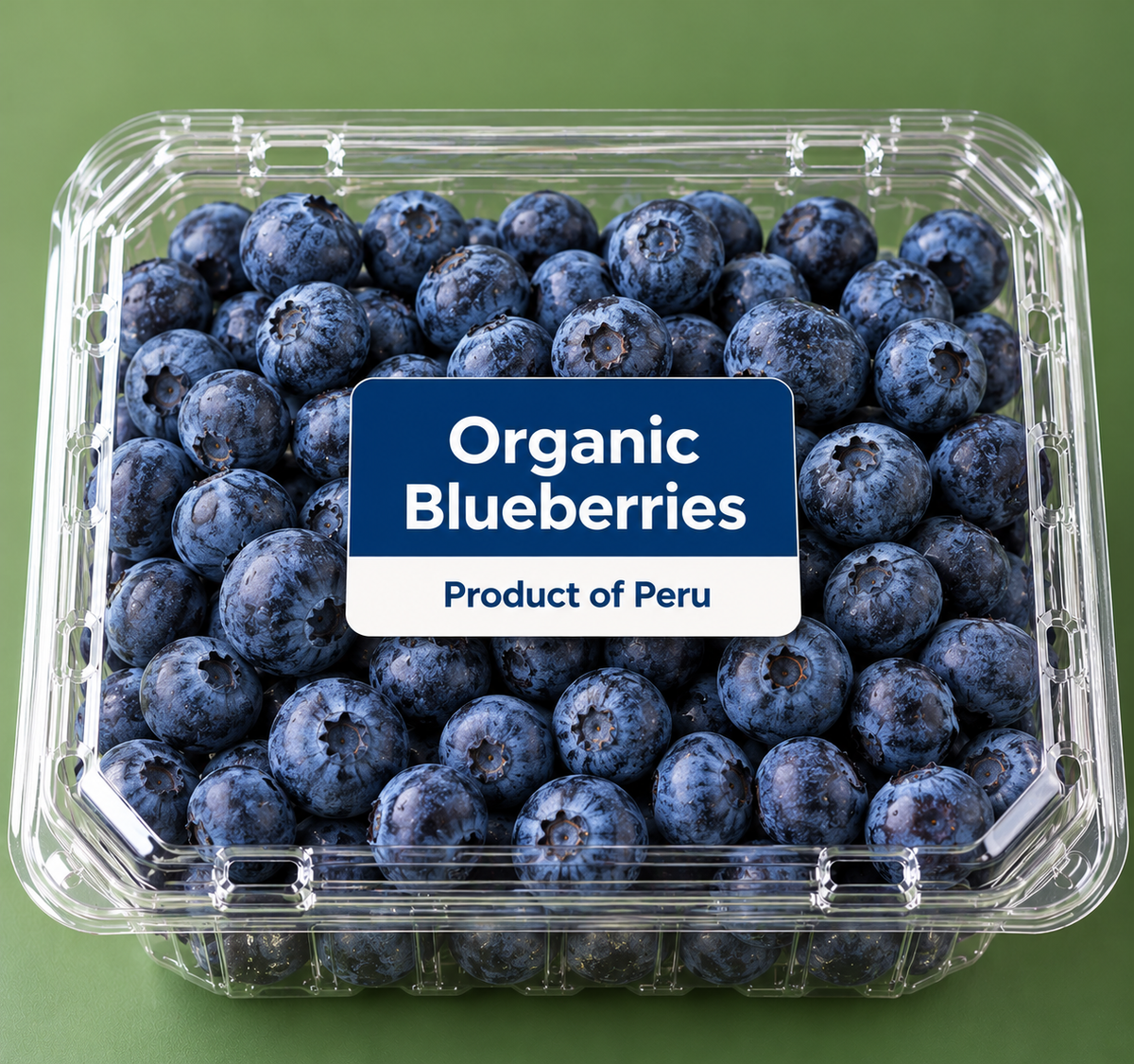 Organic Blueberries, Product of Peru 510 g/ 18oz