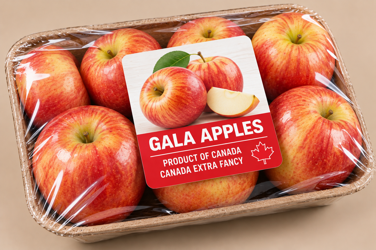 Gala Apples -Product of Canada, Canada extra Fancy 2.72 Kg/ 6 lb