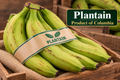 Plantain Product of Columbia 2.27 Kg/ 5 lb