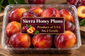 Sierra Honey Plums -Product of USA No.1 Grade 1.59 Kg/ 3.5 lb