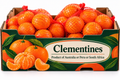 Clementines Product of Australia or Peru or South Africa  2.27 Kg/ 5 lb